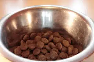 Dog Food Amount