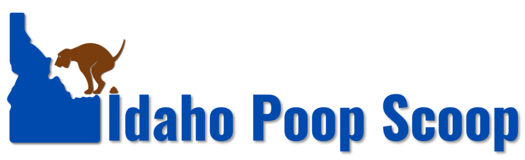 Logo with Shadow