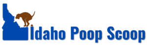 Logo with Shadow